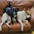 Barbara Becker Bumba's profile image
