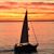 Rosemarie Marousek's profile image