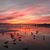 Judy Kistler's profile image