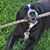 Mary Raba's profile image