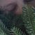 Allura Martin's profile image