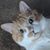 Dennis O'Loughlin's profile image