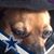 Toni de Franco's profile image