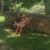 Kierstin Watkins's profile image