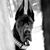 Gerardo Pineda's profile image