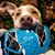 Tara Mockler's profile image