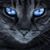 Chrissy Lindstrom's profile image