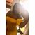 Sarah E Fuller's profile image