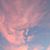 Julie St. John's profile image
