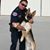 Greg Vollmer's profile image