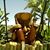 Susan Ruiz's profile image