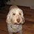 Patty Lawhon Barone's profile image