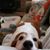 Sharon Petit's profile image