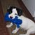 Ann Faoro's profile image