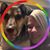 Jessica McDougall's profile image