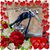 Cynthia Stolzenfels Diggs's profile image