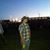 Nick Surrena's profile image
