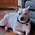 Pam Yamin Conlon's profile image