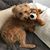Judy Harbinson's profile image