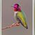 Jeanne M Cameron's profile image