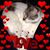 Diann Floyd Lee's profile image