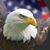 VL Havens's profile image