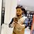 Vaibhav Patil's profile image