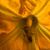 Jodi Allen Johnson's profile image