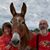 Andy Doyle's profile image