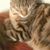 Jennifer Moore's profile image