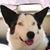 Patti Lee's profile image