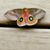 Rachel's Page's profile image