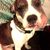 Bobbie Hinshaw Owens's profile image