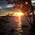 Jackie Whiting's profile image