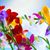 Donna Gail AbneyVires's profile image