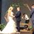 Miranda Blanford Castel's profile image