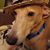 Julie Fisher's profile image
