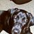 John Masterson's profile image