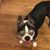 Susan Fox Johnson's profile image
