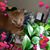 Paula J Criss's profile image