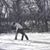 Stephanie Nelsen's profile image
