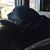 Stacey Lee Gray's profile image