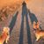 Nancy Hammett Leppert's profile image
