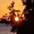 Brenda Burch's profile image