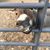 Kathie Daley Weinberg's profile image