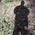 Maro Osegera's profile image