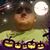 John Whitlock's profile image
