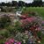 Nancy Paullin Lehman's profile image
