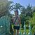 Rado N. Atanasoff's profile image