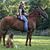 Angie Dorsey Woodard's profile image